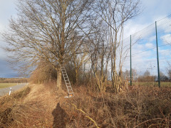 20220205_090533.jpg